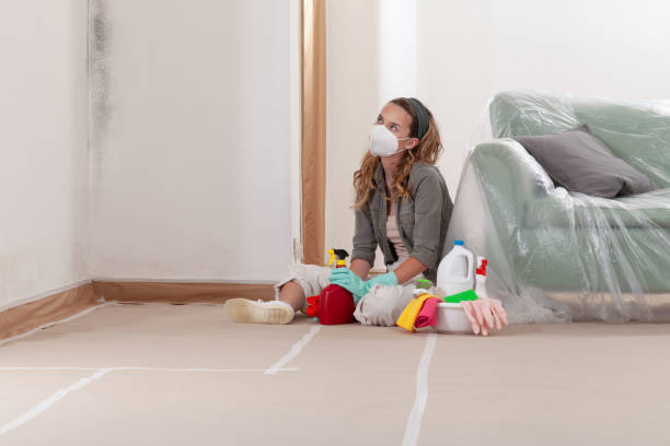Reliable Mold Removal contractor in Derwood, MD by 24 Hour Mold Removal